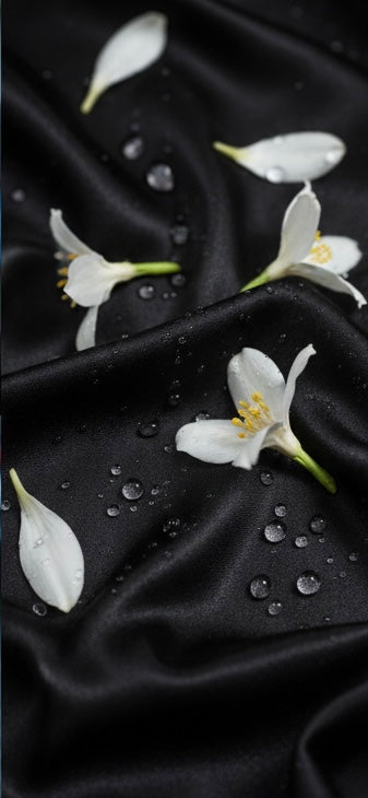 INTERDIT D’AIMER — Floral Blanc & Bois Sombres