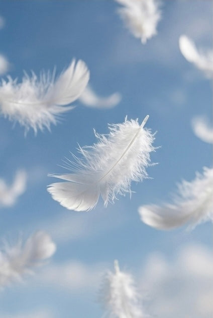 RÊVES ENVOLÉS — Floral Boisé Lumineux