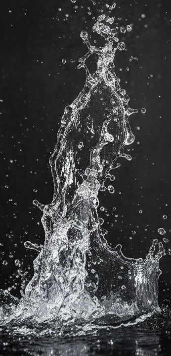 INVINCIBLE — Frais Marin & Bois Vibrants