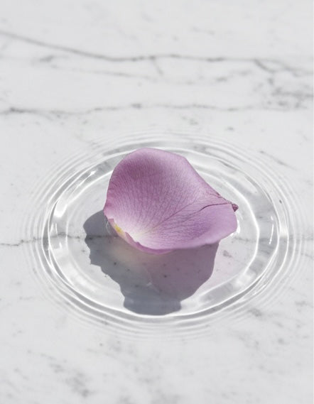 GRIS NUIT — Élégance Florale & Boisée